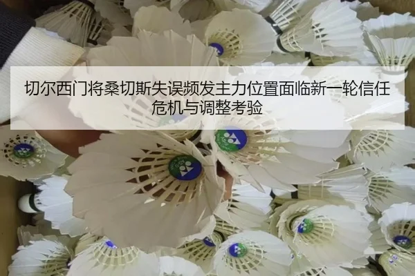 切尔西门将桑切斯失误频发主力位置面临新一轮信任危机与调整考验（pg）