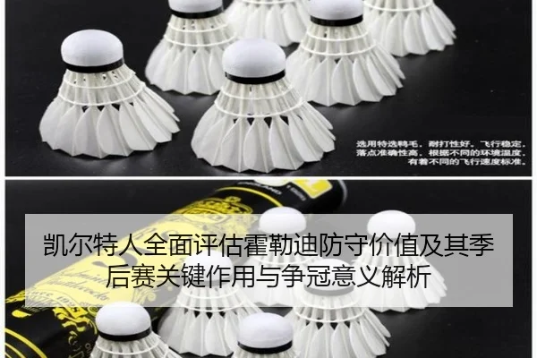 凯尔特人全面评估霍勒迪防守价值及其季后赛关键作用与争冠意义解析（pg）