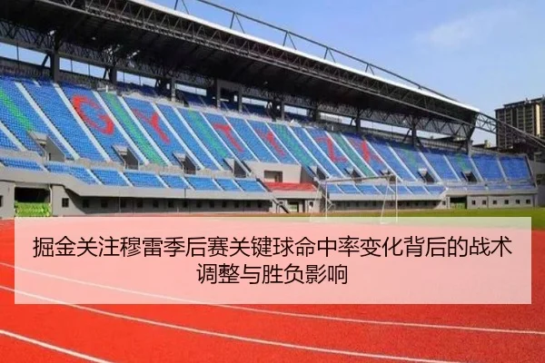掘金关注穆雷季后赛关键球命中率变化背后的战术调整与胜负影响（pg）