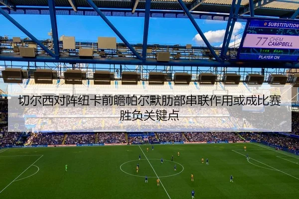切尔西对阵纽卡前瞻帕尔默肋部串联作用或成比赛胜负关键点（pg）